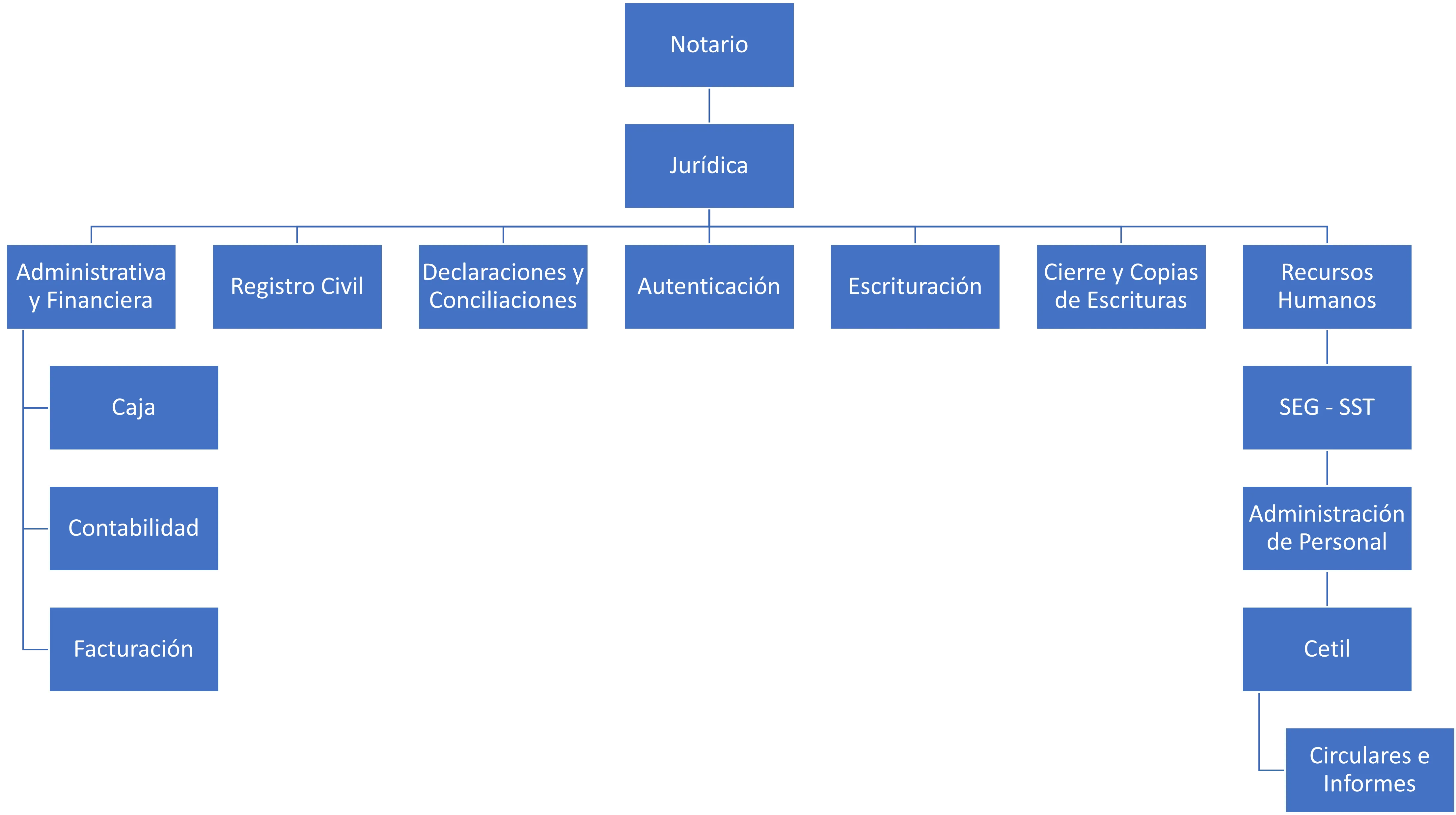 Organigrama de la Notaria 5 de Manizales